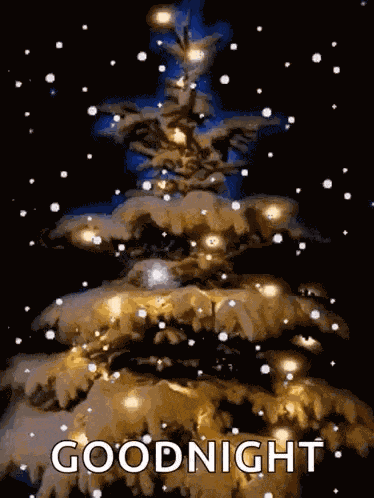Christmas Lights Christmas Tree Lights GIF