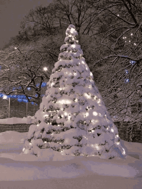 Christmas Lights Merry Christmas GIF