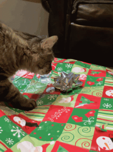 Christmas Merry GIF