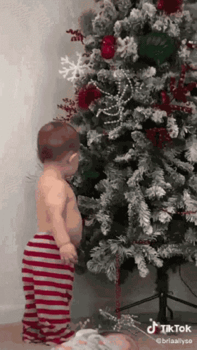 Christmas Surprise GIF