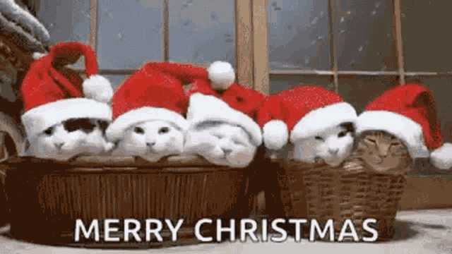 Christmas GIF