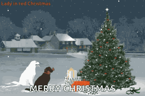 Christmas Tree Christmas Lights GIF