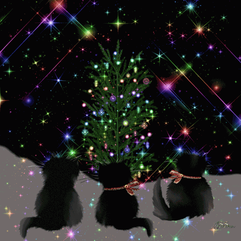 Christmas Tree Christmas Lights GIF