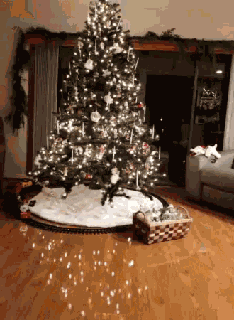 Christmas Tree Christmas Time GIF
