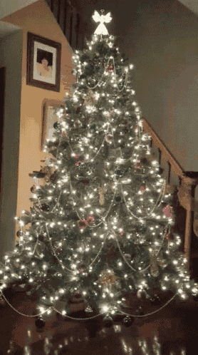 Christmas Tree Lights GIF