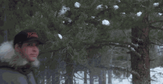 Christmas Vacation There It Is GIF