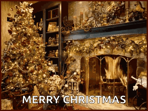 Christmasiscoming Christmastree GIF