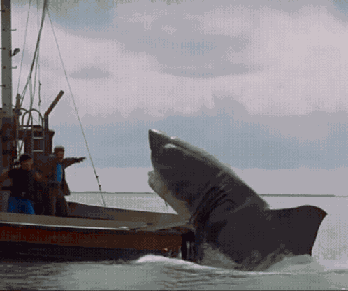 Chuck Norris Chuck Norris Kick GIF