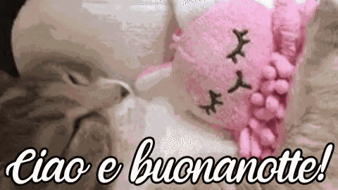 Ciao E Buonanotte Notte Sogni D'Oro A Domani Dormire Gatto GIF