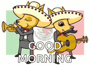 Cinco De Mayo 5demayo GIF