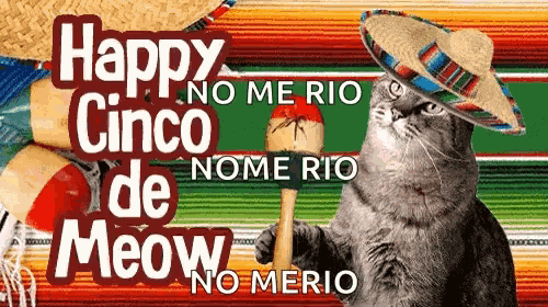 Cinco De Mayo Cinco De Meow GIF