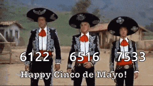 Cinco De Mayo Funny GIF