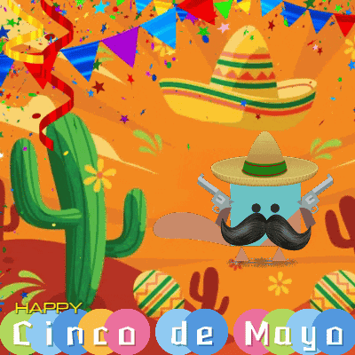 Cinco De Mayo May 5 GIF