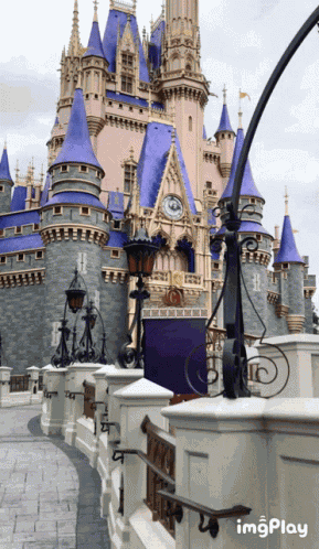 Cinderella Castle GIF
