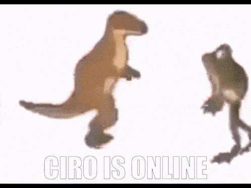 Ciro Ciro Is Online GIF