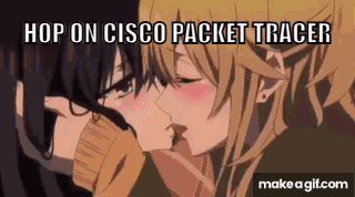 Cisco Pakcet Tracer Anime GIF