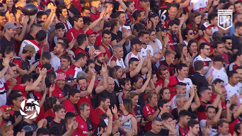 Clapping Liga Profesional De Fútbol De La Afa GIF