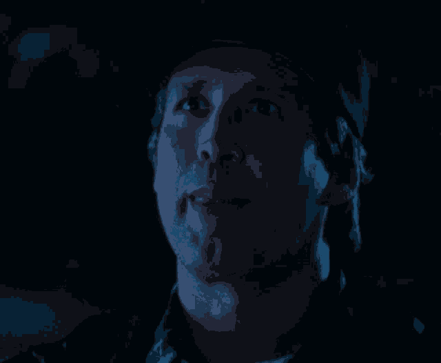 Clark Griswold National Lampoons Christmas Vacation GIF