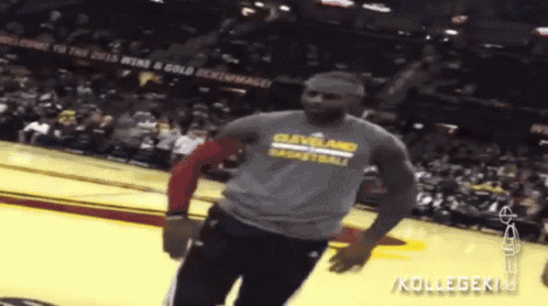 Cleveland Cavaliers Lebron James GIF