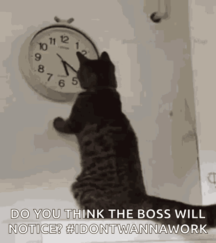 Clock GIF