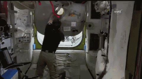 Closing The Hatch GIF