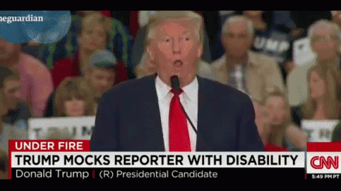 Cnn Donald Trump GIF