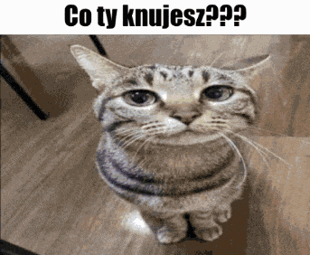 Co Co Ty Meme
