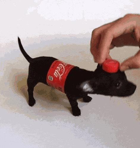 Coca Cola Espuma Meme