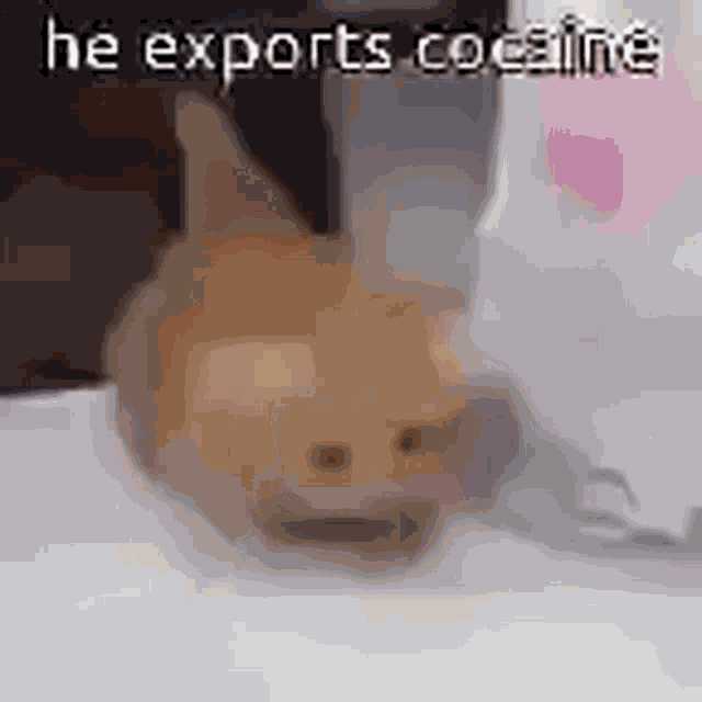 Cocaine GIF