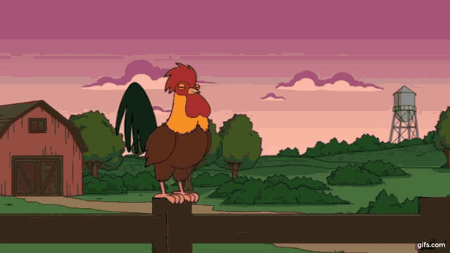 Cock Chicken GIF