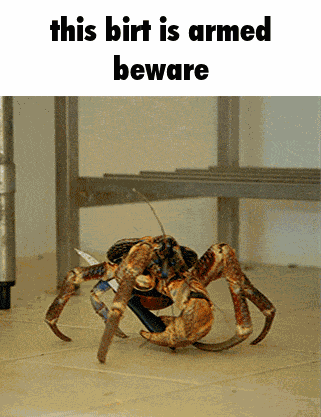 Coconut Coconut Crab GIF