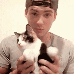 Cody Christian Cat GIF