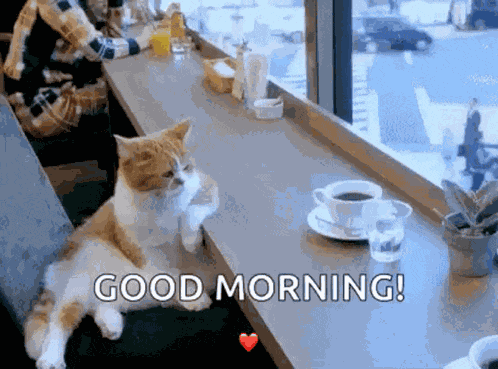 Coffee Shop GIF