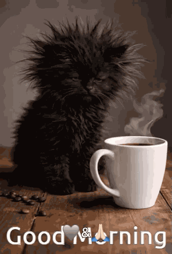 Coffee Time Good Morning GIF