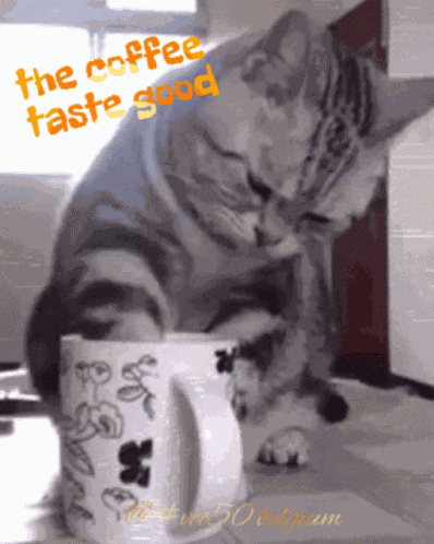 Coffee Vec50 GIF