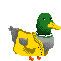 Coincoin Duck Sticker