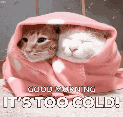 Cold Freezing GIF