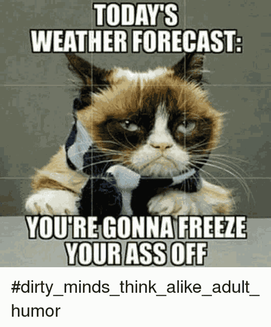 Cold Politician Meme