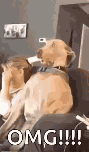 Cold GIF