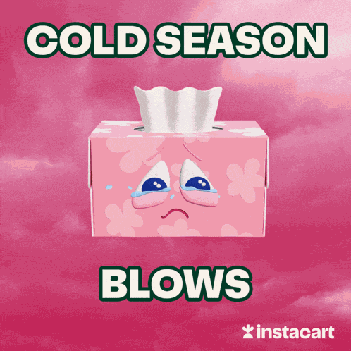 Cold Season Cold And Flu GIF