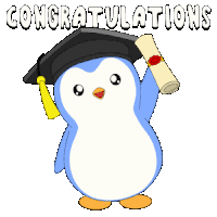 College University Sticker