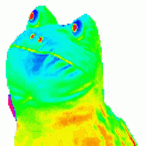 Colorful Frog GIF