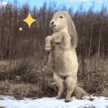 Come At Me Come At Me Bro GIF