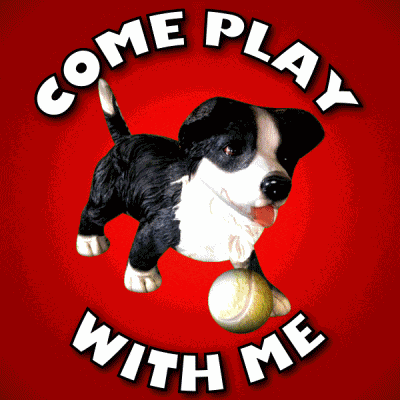 Come Play With Me Playtime GIF