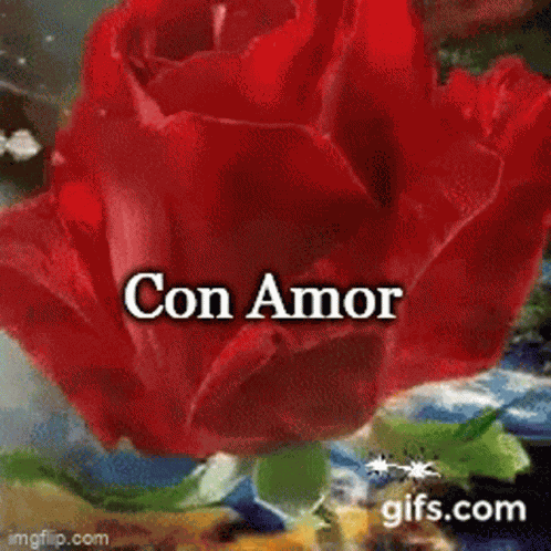 Con Amor Para Ti GIF
