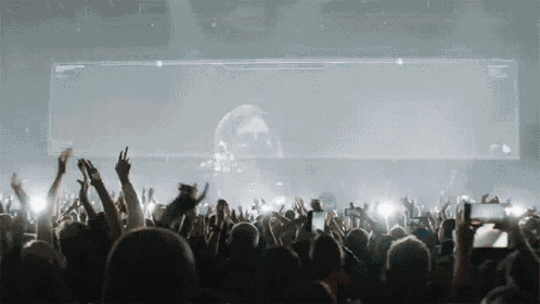 Concert Alan Walker GIF