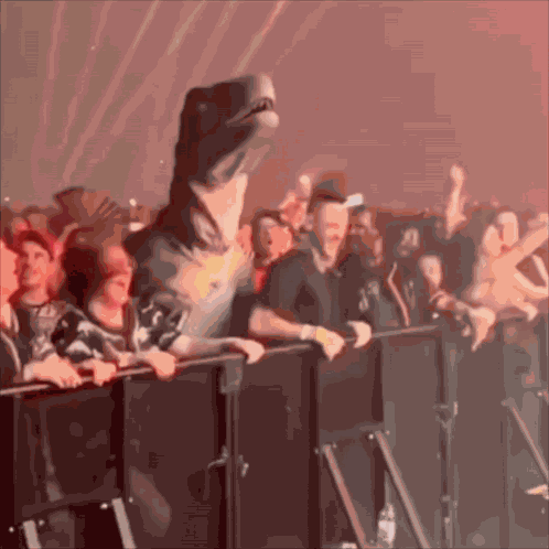 Concert Crowd GIF