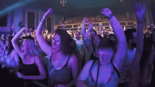Concert Fans GIF