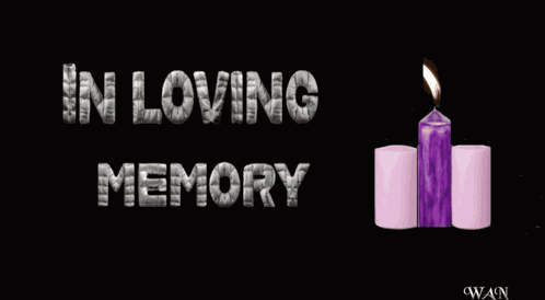 Condolences Sympathy GIF