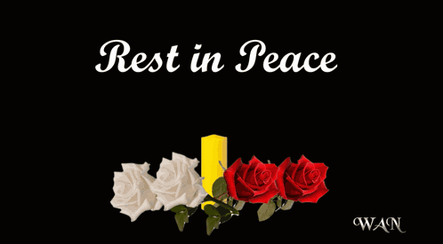 Condolences Sympathy GIF